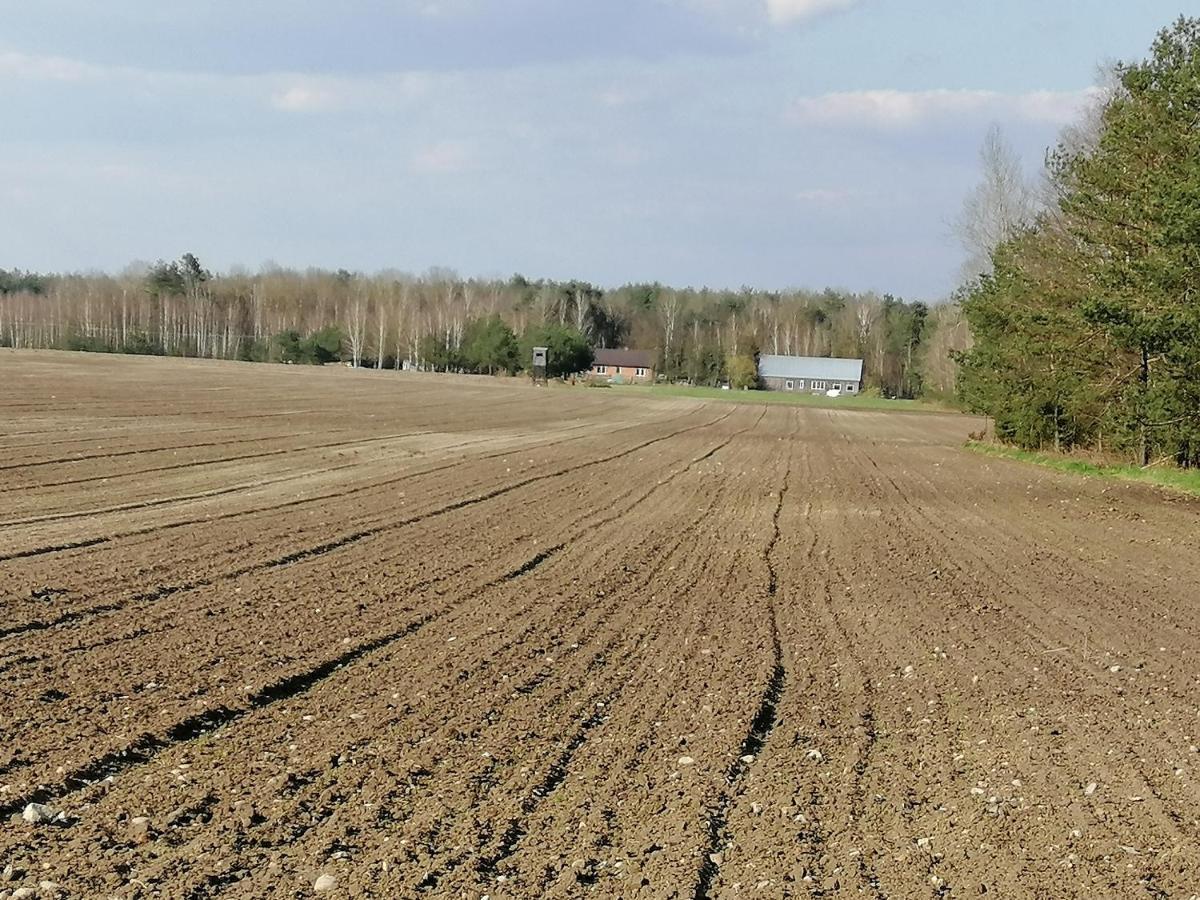 Agroturystyka Pod Dobrymi Skrzydlami Wiski Exterior foto
