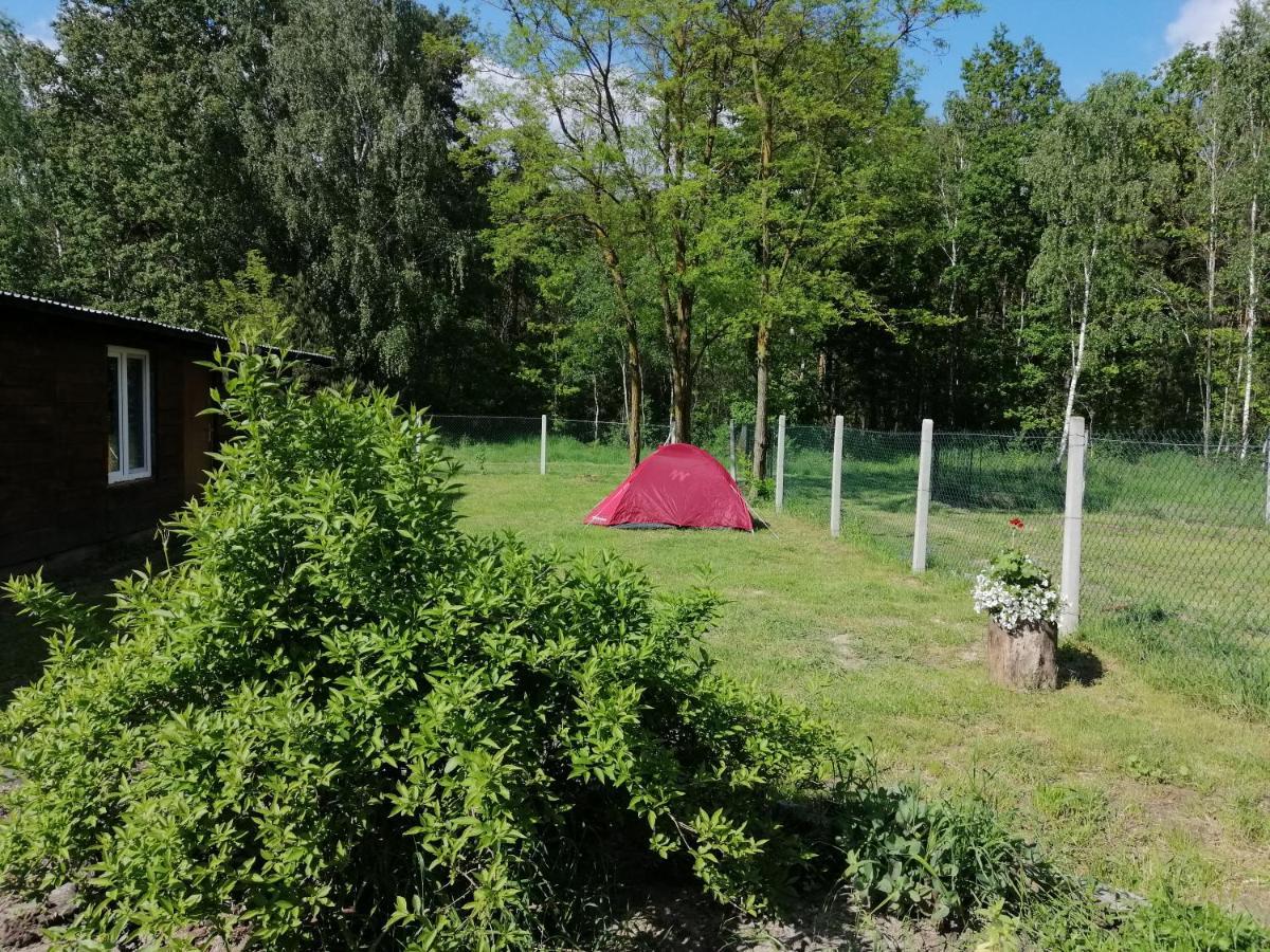 Agroturystyka Pod Dobrymi Skrzydlami Wiski Exterior foto